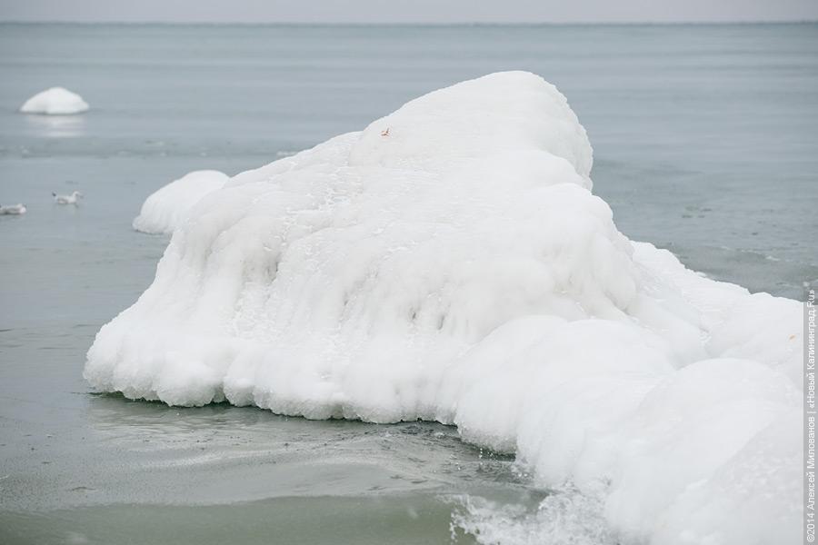 Недоморозило: холодам не удалось сковать льдом берег Балтийского моря