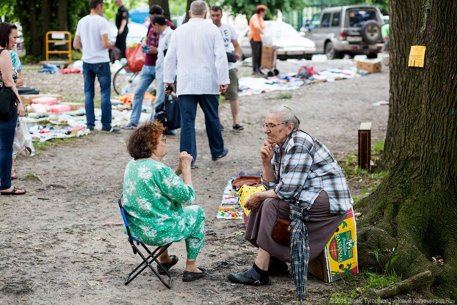 Фото — Денис Туголуков, «Новый Калининград»