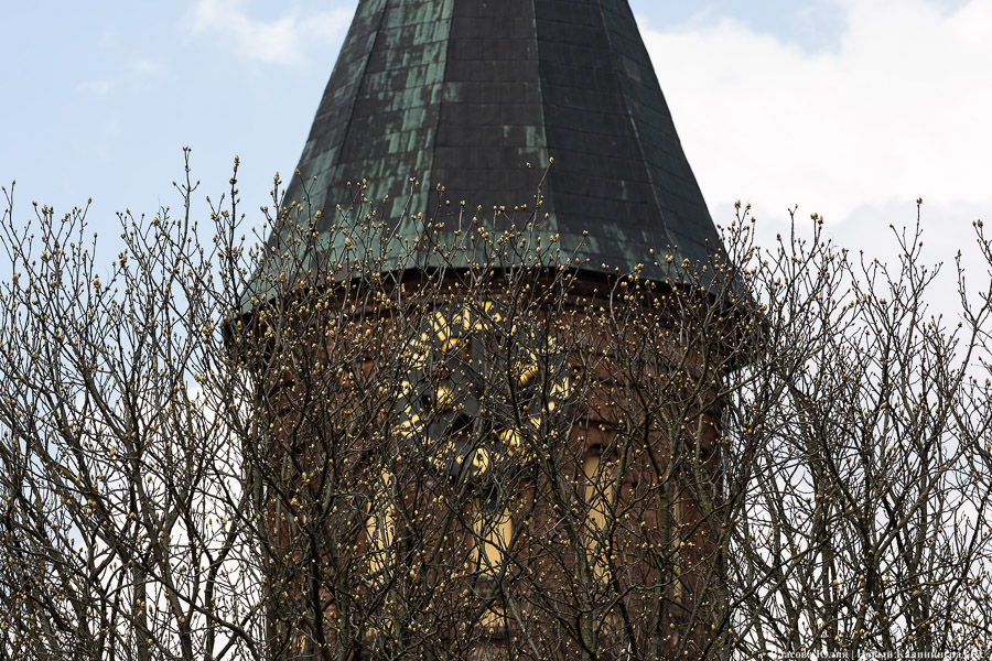 Музей Мирового океана запускает водный маршрут к бастиону «Литва» (фото)