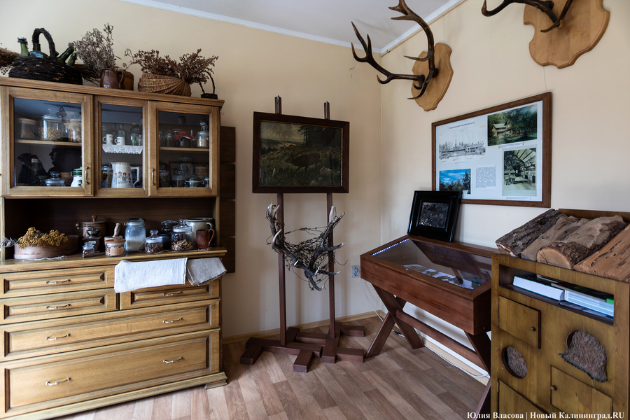 Фото: Юлия Власова / Новый Калининград