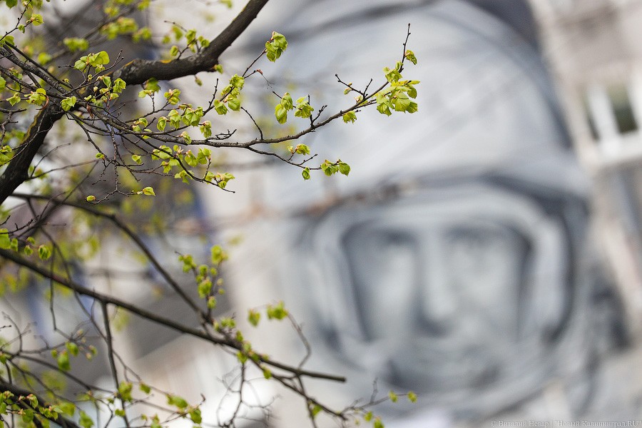 Не граффити, а стрит-арт: в Калининграде нарисовали портрет космонавта Леонова