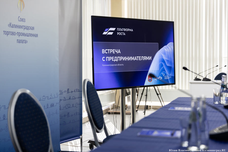 Рост на «Платформе»: бизнесмены Калининграда примкнули к проекту Wildberries и АСИ (фото)