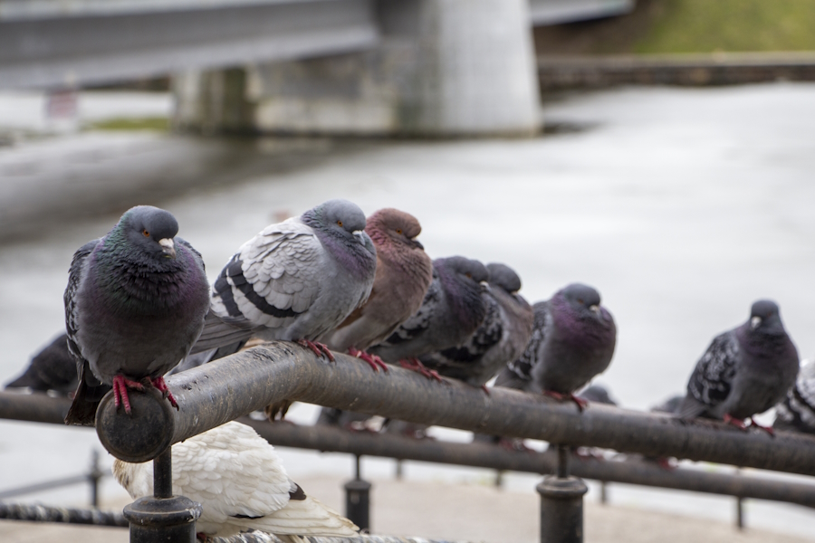 Шторм и «бархатная весна»: прогноз погоды в Калининградской области на неделю