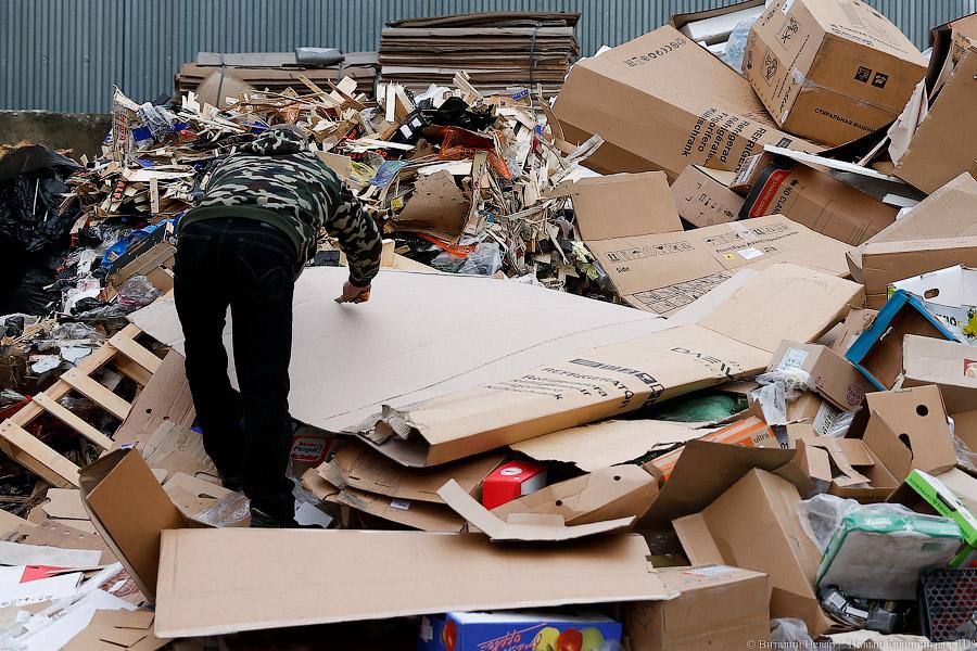 «Нечистый» бизнес: как и где в Калининграде научились зарабатывать на отходах