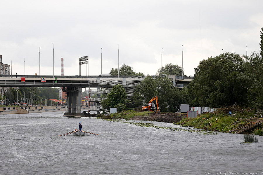 Для строительства набережной Карбышева разрешили вырубить 164 дерева (фото)