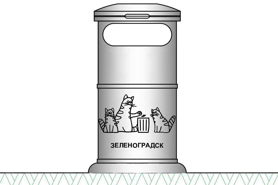 Изображение: администрация Зелноградсского муниципального округа