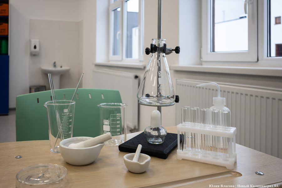 От дрона до 3D-принтера: в Калининграде открылась «школа для школы» на Каштановой аллее (фото)