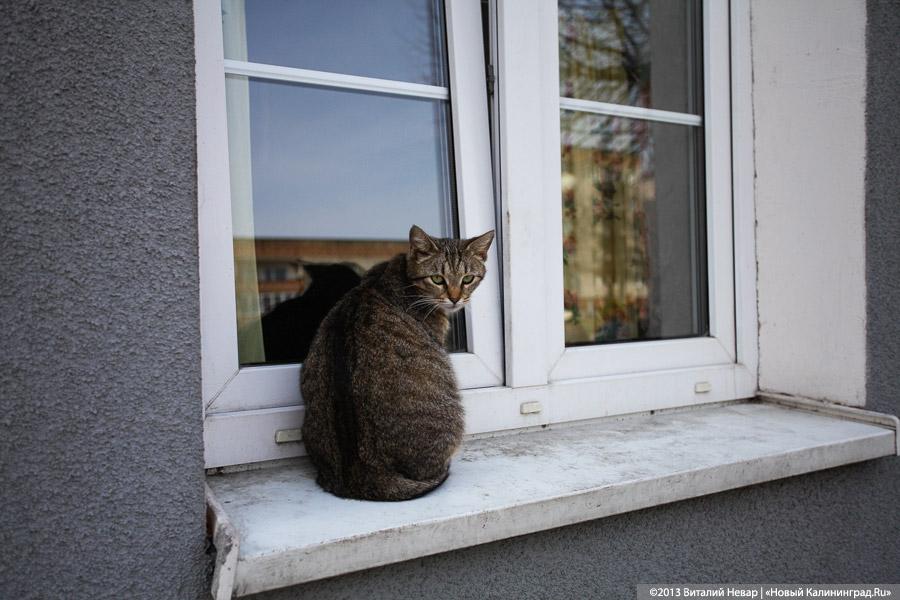 «Столица провинции»: жизнь малой родины губернатора Цуканова (+фото)