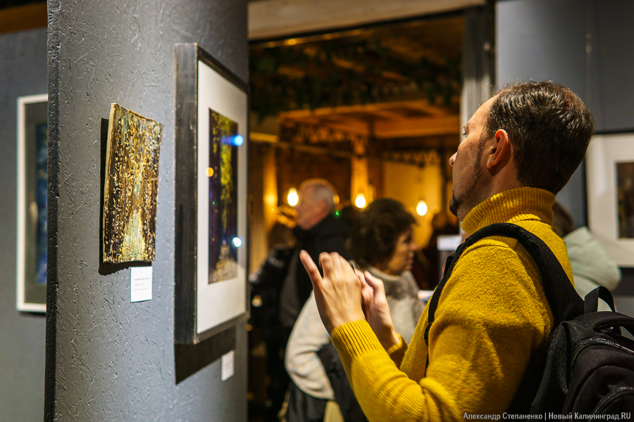 «О чем молчат деревья»: в Воротах открылась выставка, воспевающая придорожные аллеи (фото)