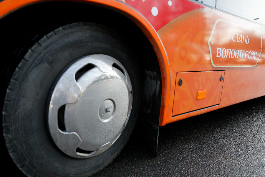 Верхом на трёхглазой змее: на калининградские автобусы нанесли символику ЧМ