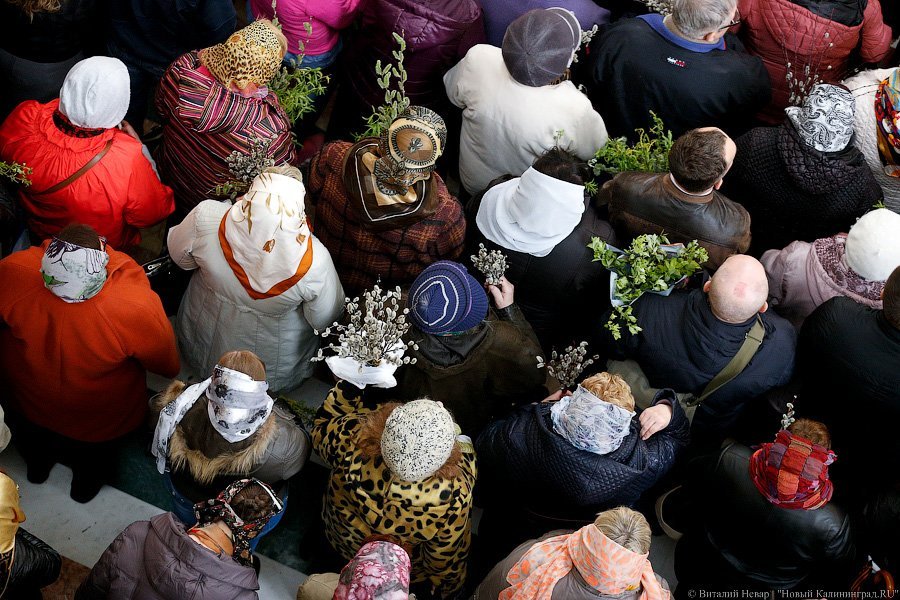 «Цветики да вербочки»: как прошло богослужение в Вербное воскресенье (фото)