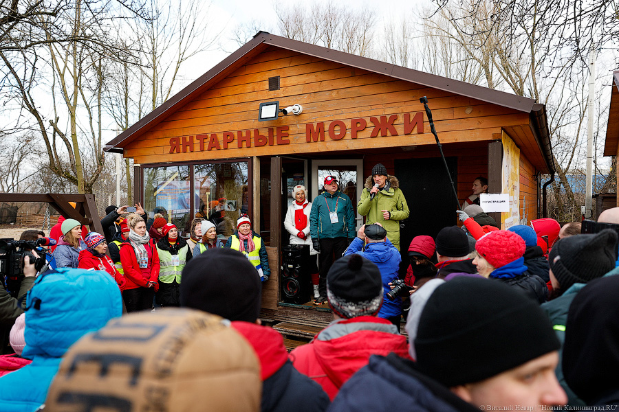 Время моржей: в  Калининграде прошли соревнования по зимнему плаванию (фото)