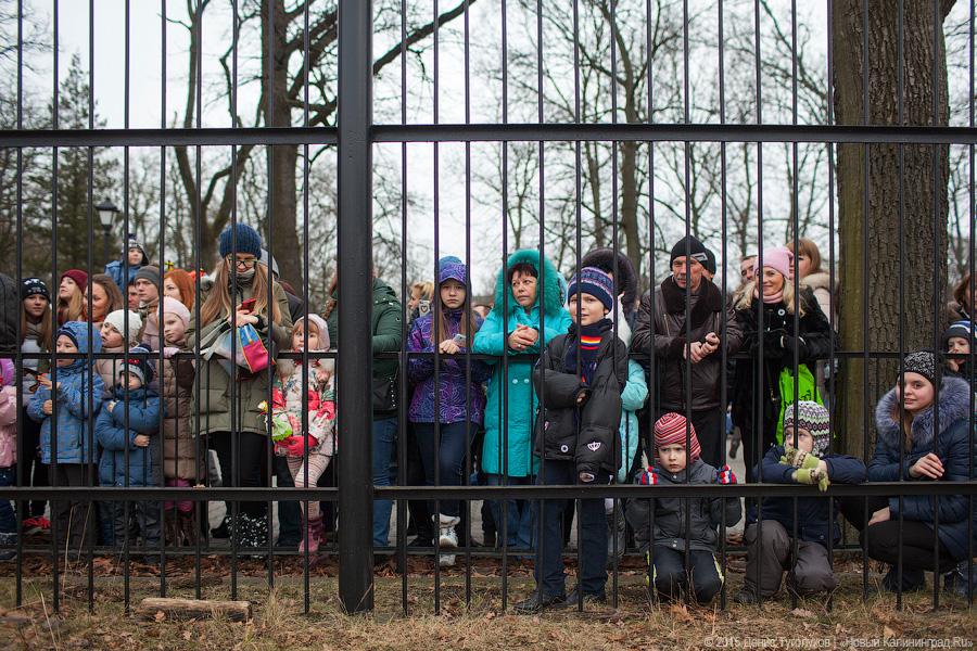 Продвинутое средневековье: как люди и звери Масленицу отмечали