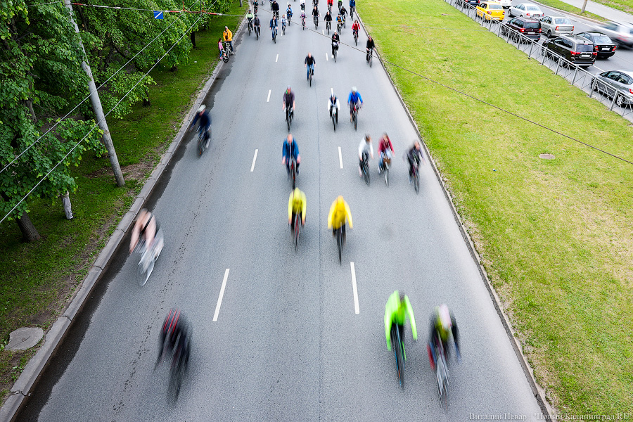 Лыжи, велики, унициклы: как прошёл велопарад в Калининграде (фото)