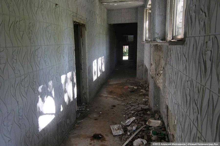 «Куда ушли детские сады»: фоторепортаж «Нового Калининграда.Ru»