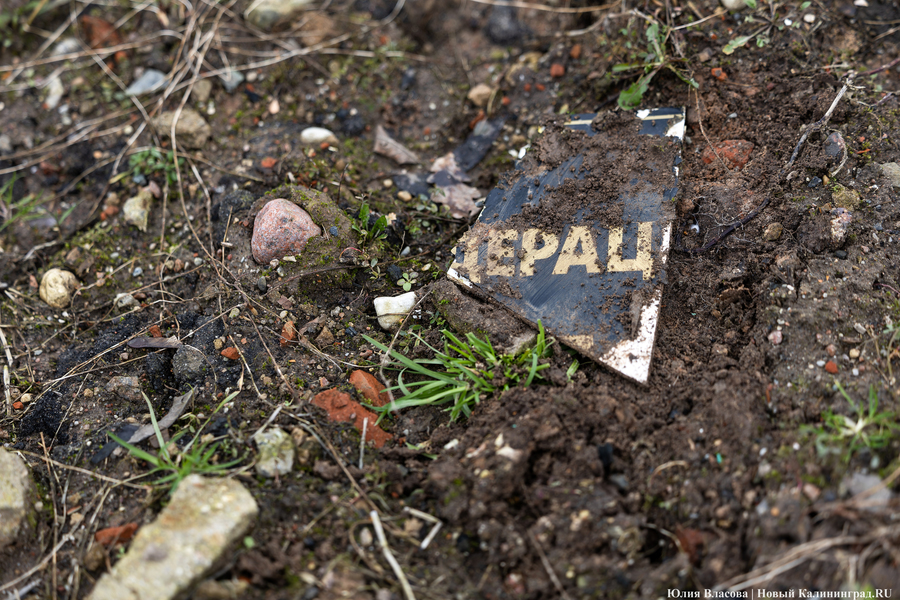 «Почти как раньше»: инвестор не отказывается восстановить историческое здание школы в Высоком (фото)