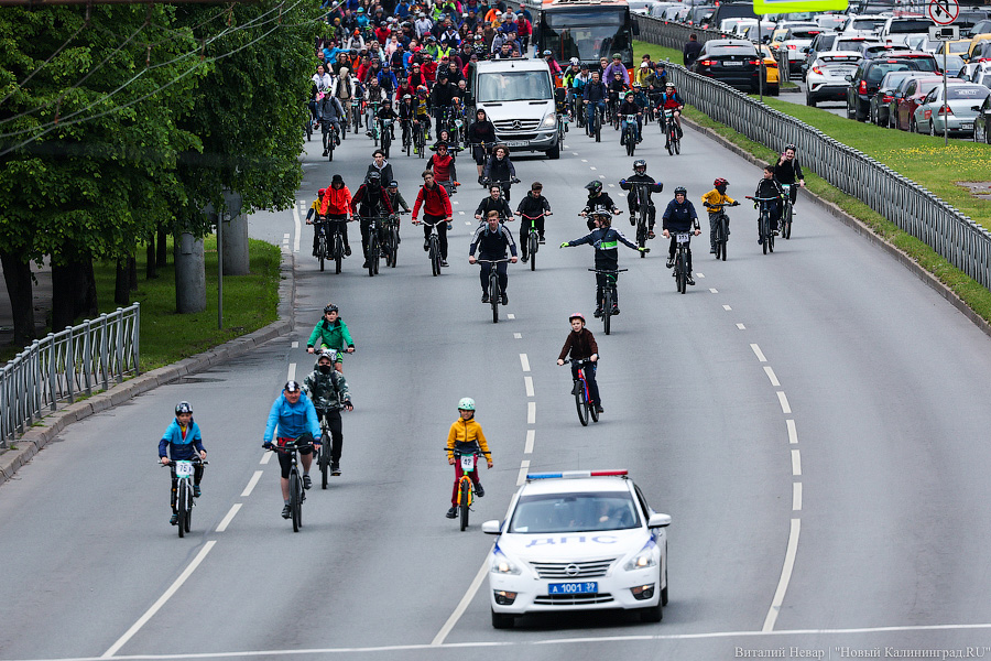 Лыжи, велики, унициклы: как прошёл велопарад в Калининграде (фото)