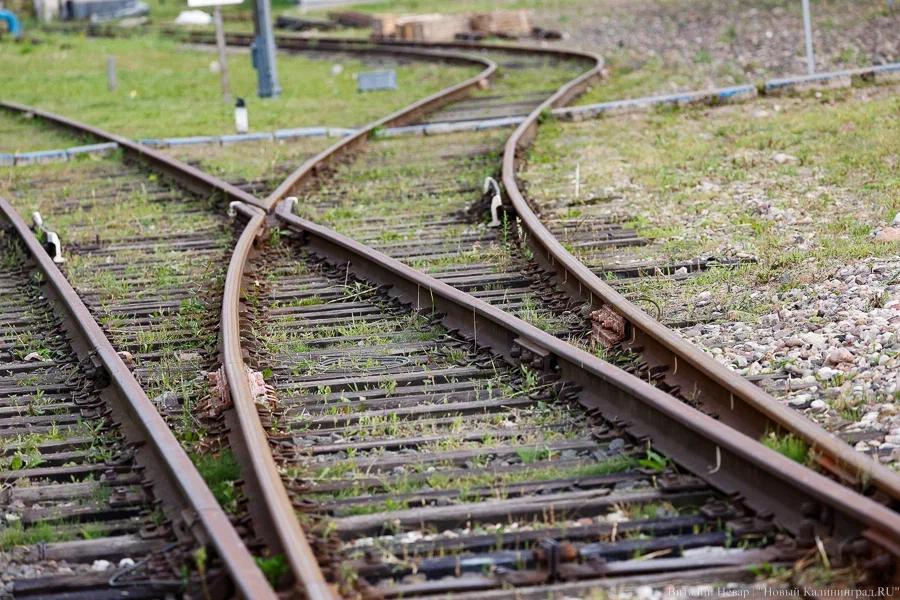 ТАСС: Литва готова принять от Финляндии сошедшего с поезда россиянина