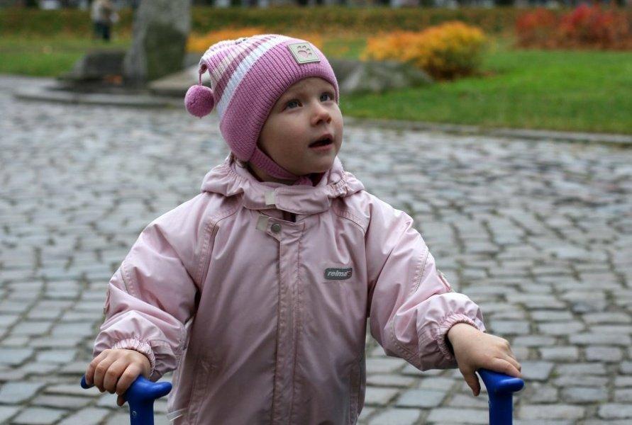 "Девочка с "кусючками": репортаж "Нового Калининграда.Ru"