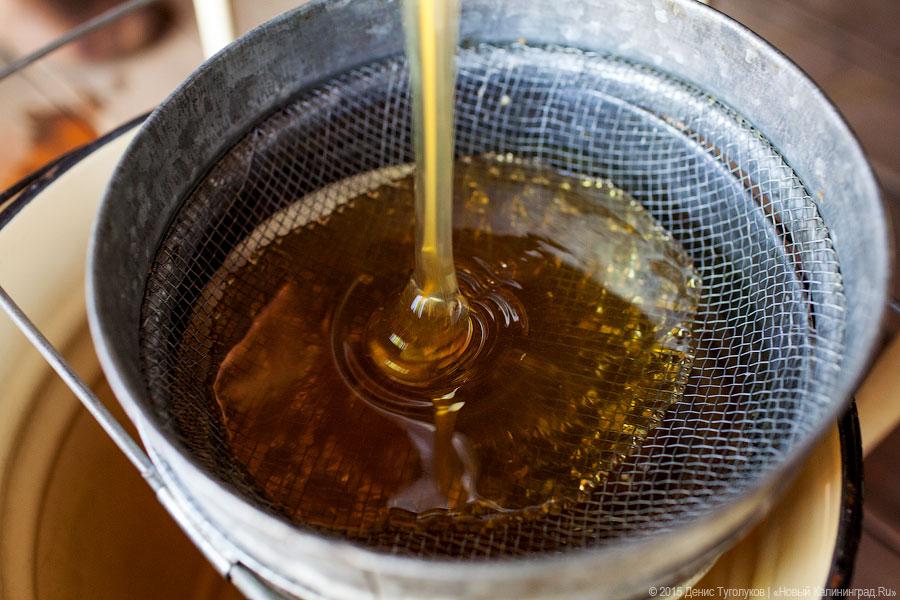 Православные отмечают Медовый Спас