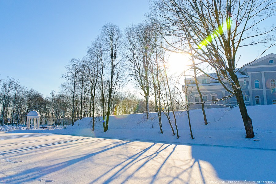 Социологи выяснили, сколько россиян любят зиму