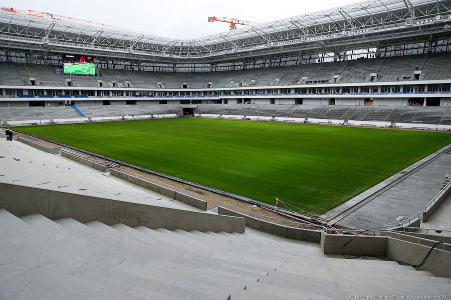 Тонкая настройка: ФИФА проинспектировала строящийся стадион в Калининграде