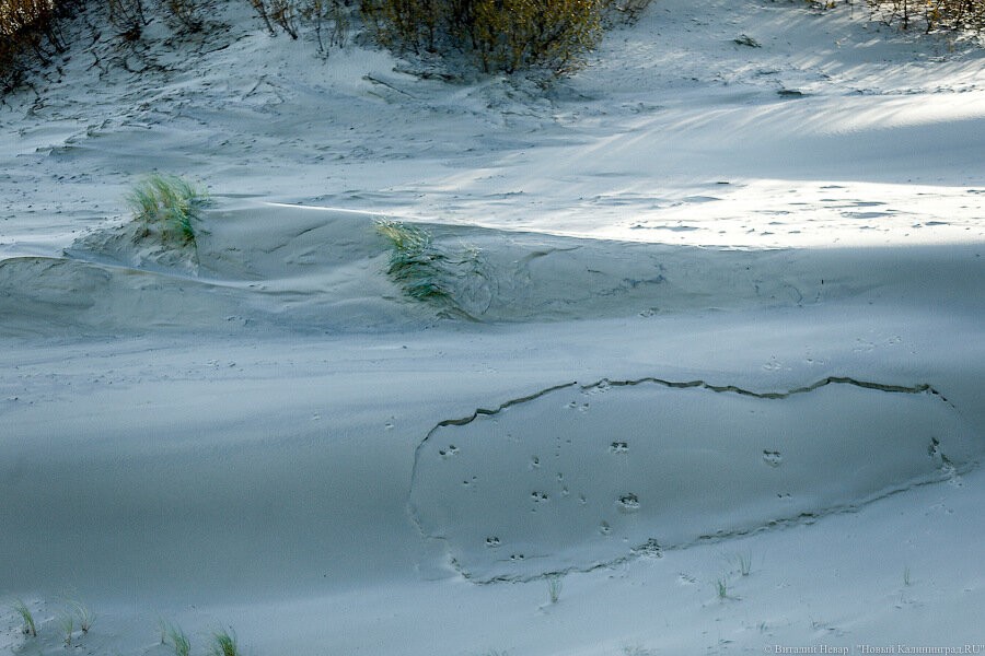 В Калининградской области прогнозируют ослабление морозов
