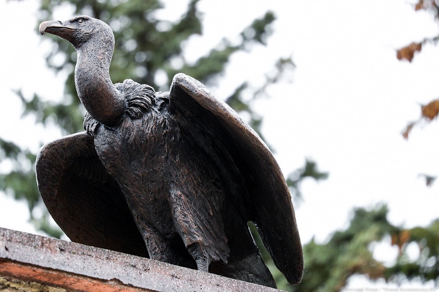 Звери из бронзы: на входе в Калининградский зоопарк установили новые скульптуры (фото)