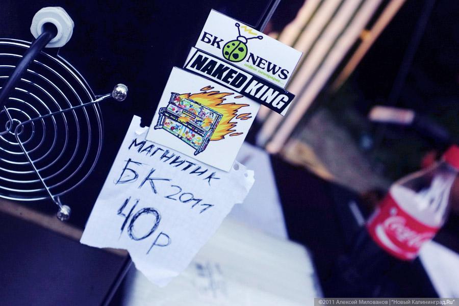 "Насекомая страна": фоторепортаж "Афиши Нового Калининграда.Ru"