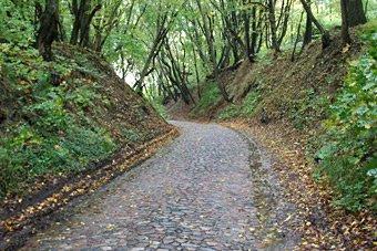 Власти региона намерены направить в областной дорожный фонд 2,6 млрд рублей