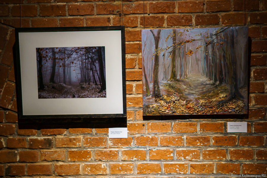 «О чем молчат деревья»: в Воротах открылась выставка, воспевающая придорожные аллеи (фото)