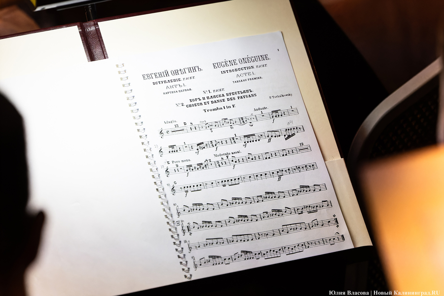 «Ему наскучил света шум»: в Светлогорске прошла опера «Евгений Онегин» (фото)