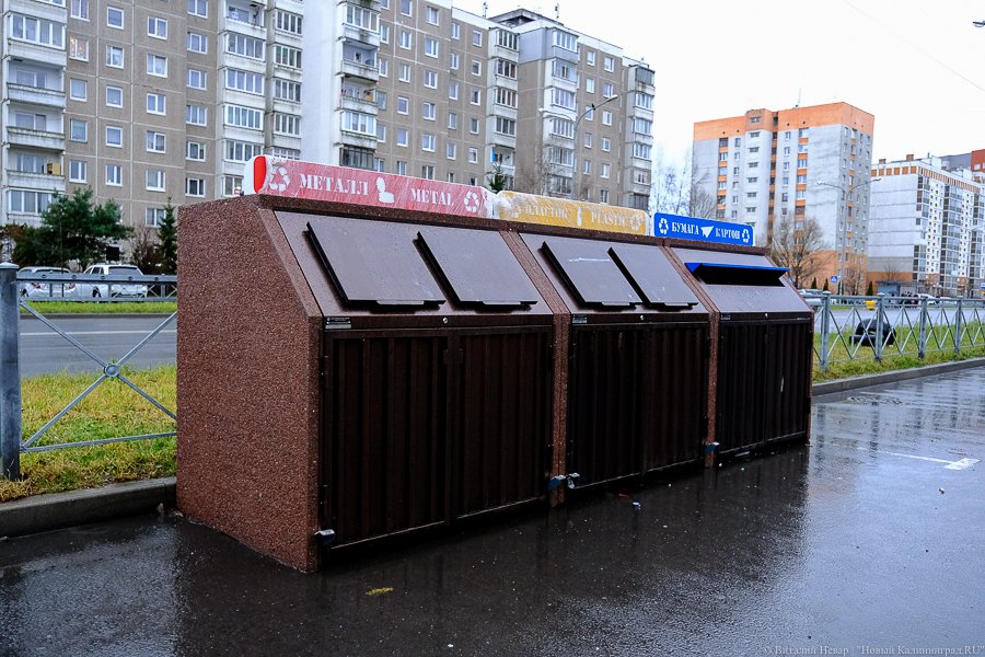 Фракции в биг-бэгах: как в регионе проходит эксперимент по раздельному сбору мусора
