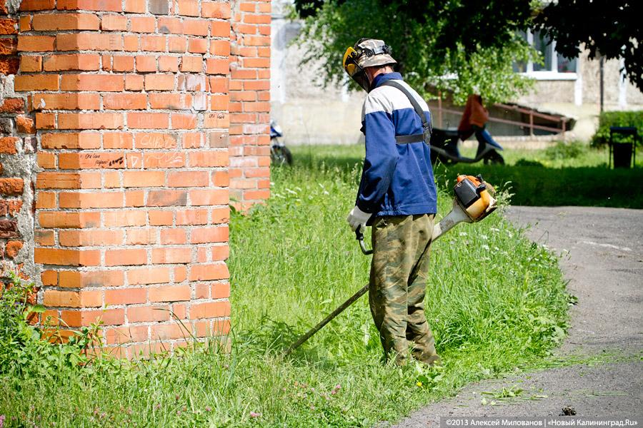 Заваренный вход и ажурные решетки: судьба кирхи в Знаменске после консервации