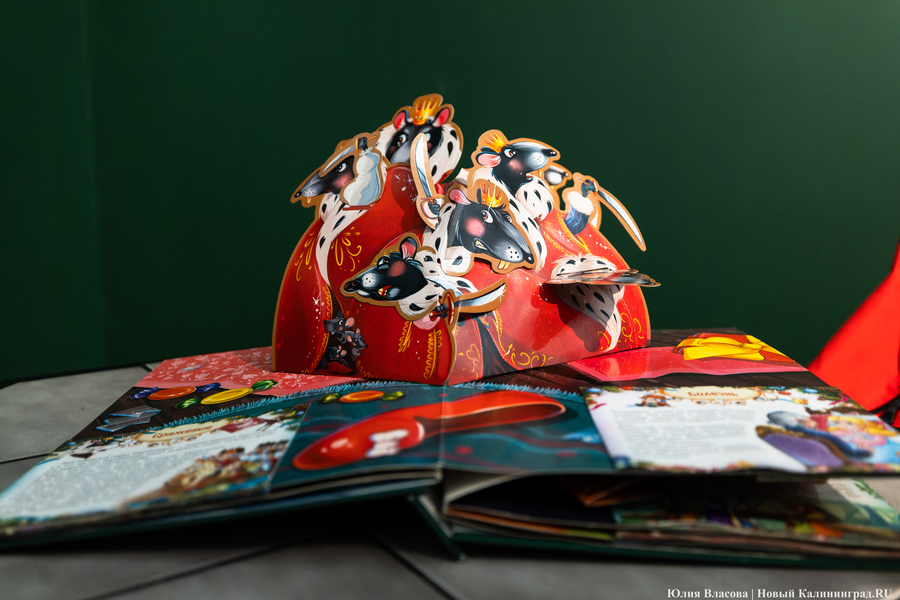 Символы Рождества и мир Гофмана: в Музее искусств открыли новогодний проект (фото)