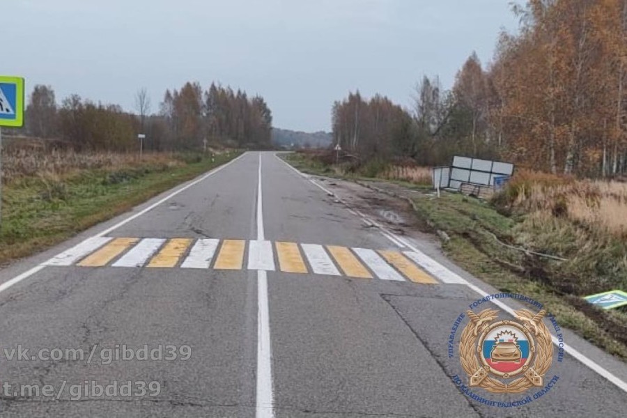 Под Краснознаменском водитель сбил косулю и наехал на остановку (фото)