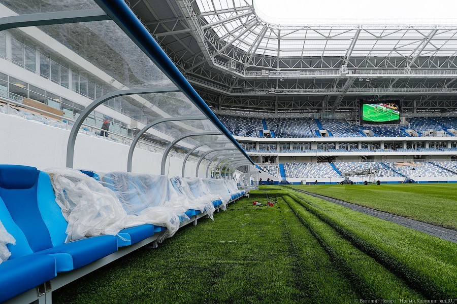 Компании из Химок выделяют 71,5 млн рублей на эксплуатацию стадиона на Острове 