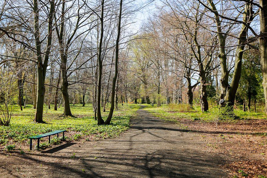 Пастораль ручной работы: весенний Ботанический сад