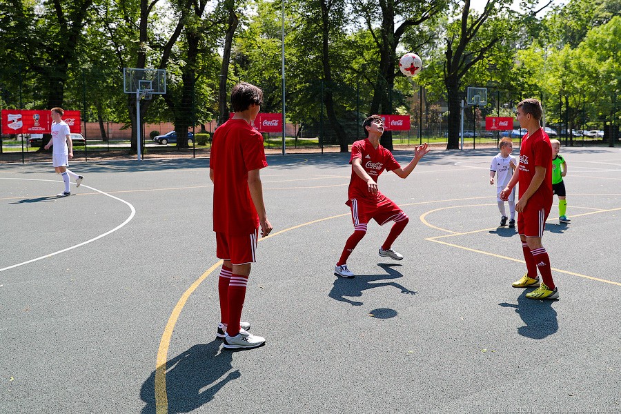 Все мы разные, все мы равные: в Калининграде открыли инклюзивный парк (фото)