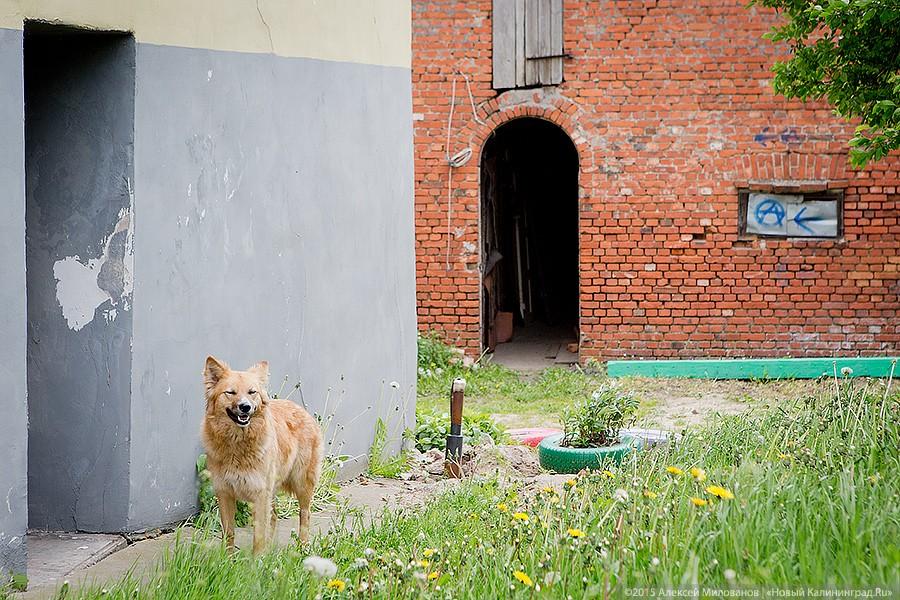 Город Веры, Надежды, Любви: зачем ехать в Багратионовск