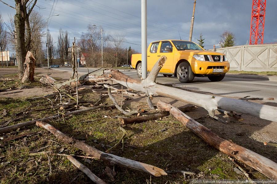 Летающий цирк: последствия урагана в Калининграде (фото)