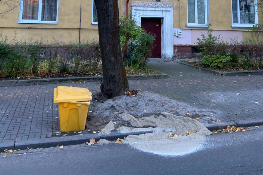 Власти Калининграда пообещали убрать от деревьев ящики с солью после жалоб горожан