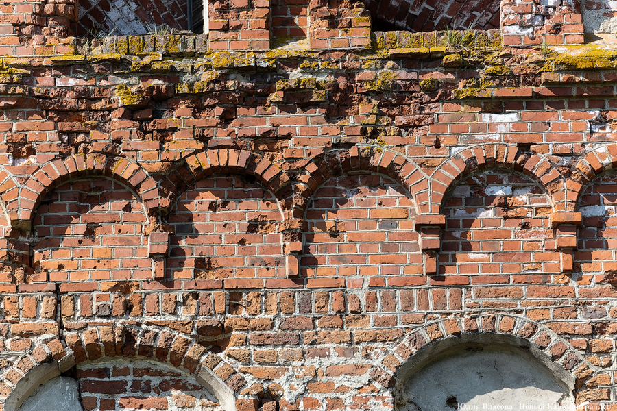 «Готическое Кольцо» старинных кирх: как прошло путешествие по новому маршруту (фото)