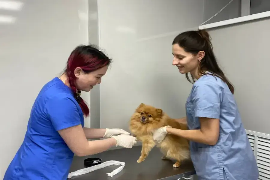 ГБУВ КО «Областная СББЖ»