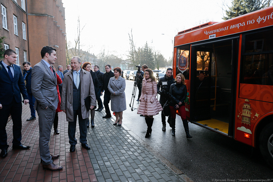 Верхом на трёхглазой змее: на калининградские автобусы нанесли символику ЧМ