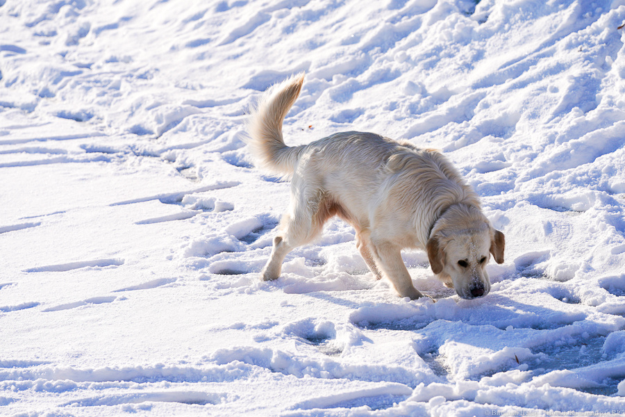Цензура в соцсетях, правила чеков и возвращение с дистанта: нововведения февраля