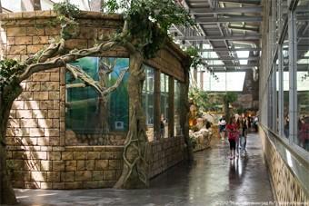 В новом обезьяннике за 400 млн не закрываются вольеры, а полы не соответствуют норме