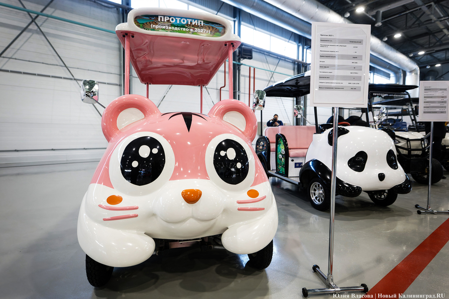 Автокомпоненты и электромобили: как на «Автоторе» новый кластер запускали (фото)