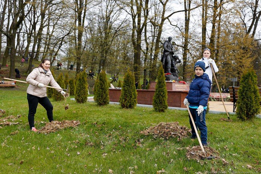 Селфи с граблями: в парке Победы прошёл общегородской субботник