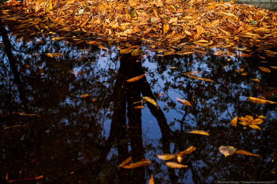 Синоптики обещают региону дождливое начало недели, а затем небольшое потепление
